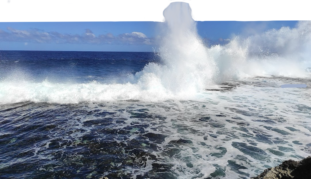 Blowholes